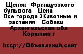 Щенок  Французского бульдога › Цена ­ 35 000 - Все города Животные и растения » Собаки   . Архангельская обл.,Коряжма г.